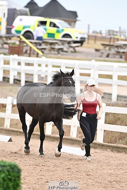 250716-161241-02497 - Trot Up 3.30 to 4.30