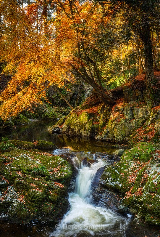 Little Waterfall on the Shimna River in the Fall