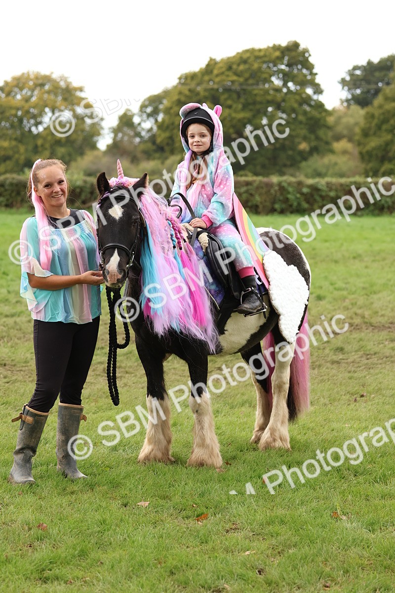 SBM_62178 - S37b - Best Unicorn