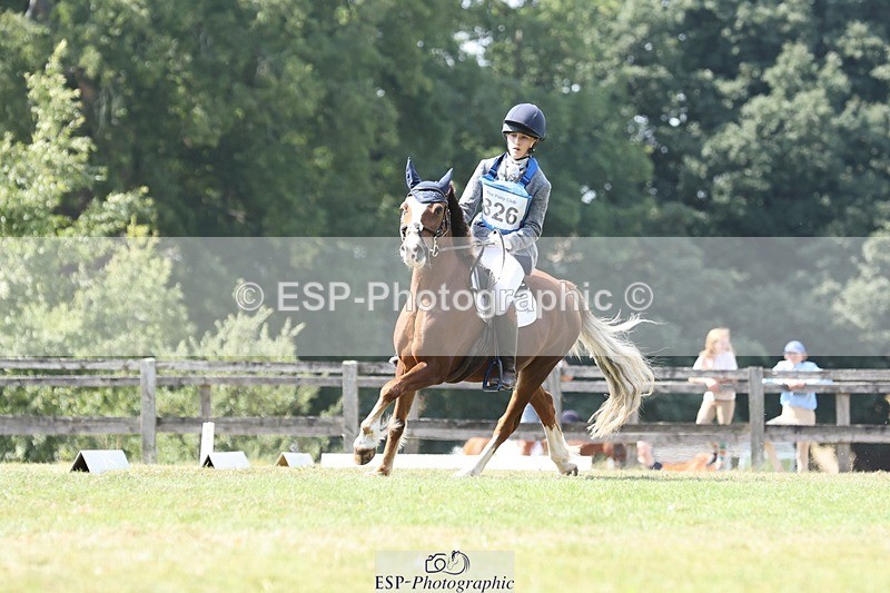 250823A-134313-31358 - Arena D