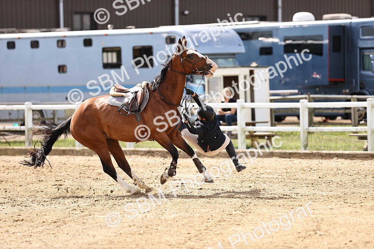 SBM_002038 - Class 9 - Senior British Novice - 90cm