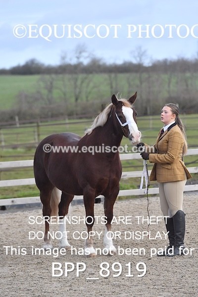 BPP_8919 - RING 2 - M&M