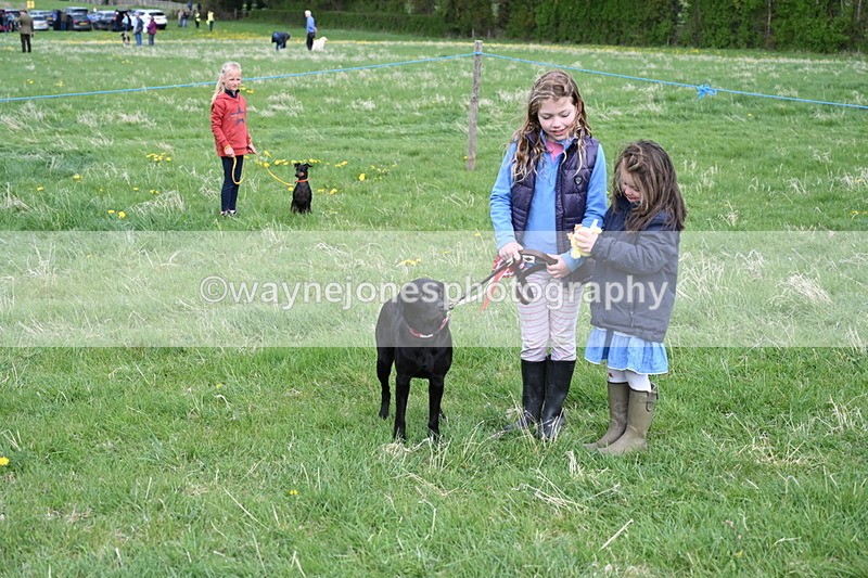 WJ6_8163 - Class 2 Best Pedigree