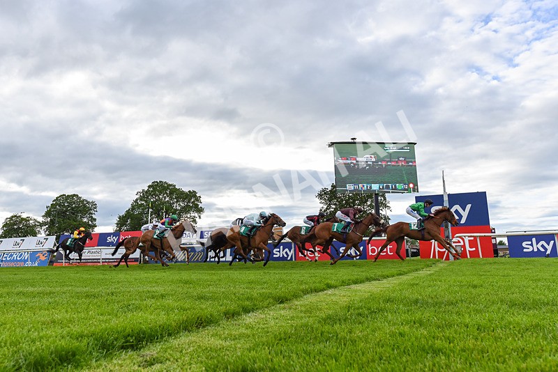 310526-Race 7-Annastarzy-9543 - Race 7 18.45pm Sky Bet Build A Bet Fillies' Handicap