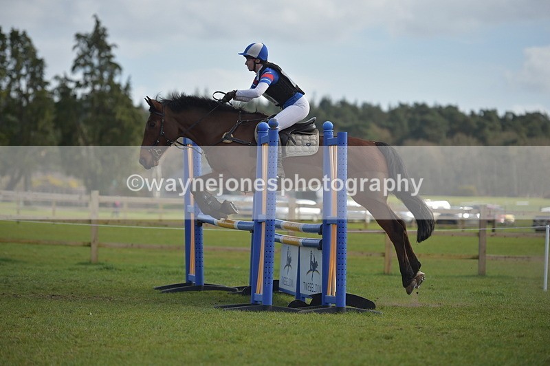 NGP_2994 - Time 14:44 to 15:11