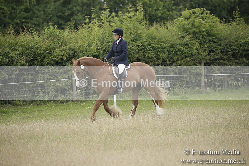 B230619-0303 - Bourne Valley Riding Club Summer Show 23/06/19