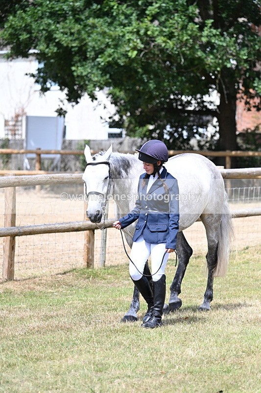 WJ7_1762 - Class 4a Prettiest Mare 14.2hh and over hand