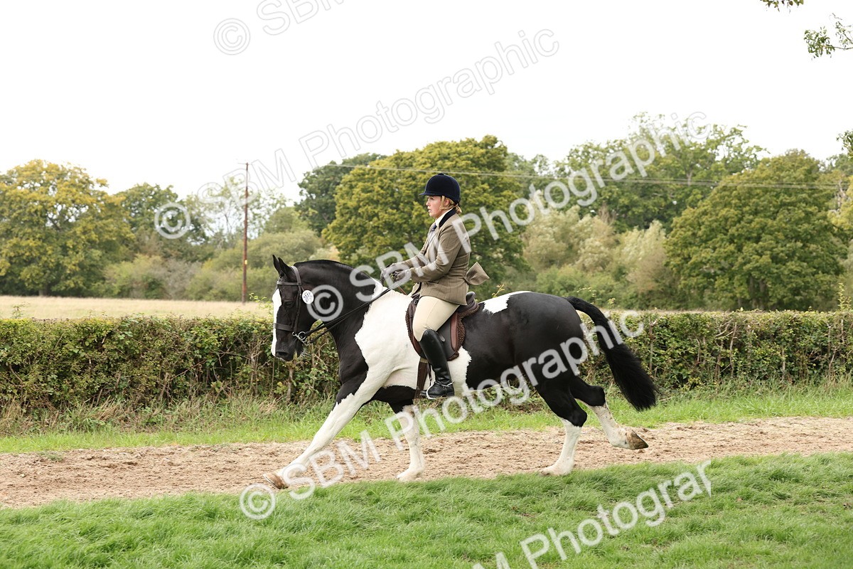 SBM_67261 - S67 - Piebald & Skewbald Horse Ridden
