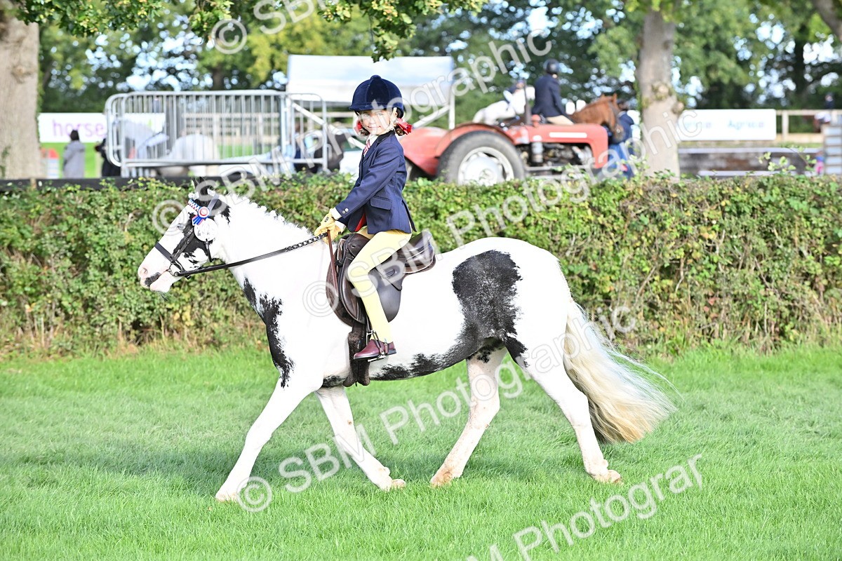 SBM_51228 - S22 - First Ridden show and show Hunter Pony