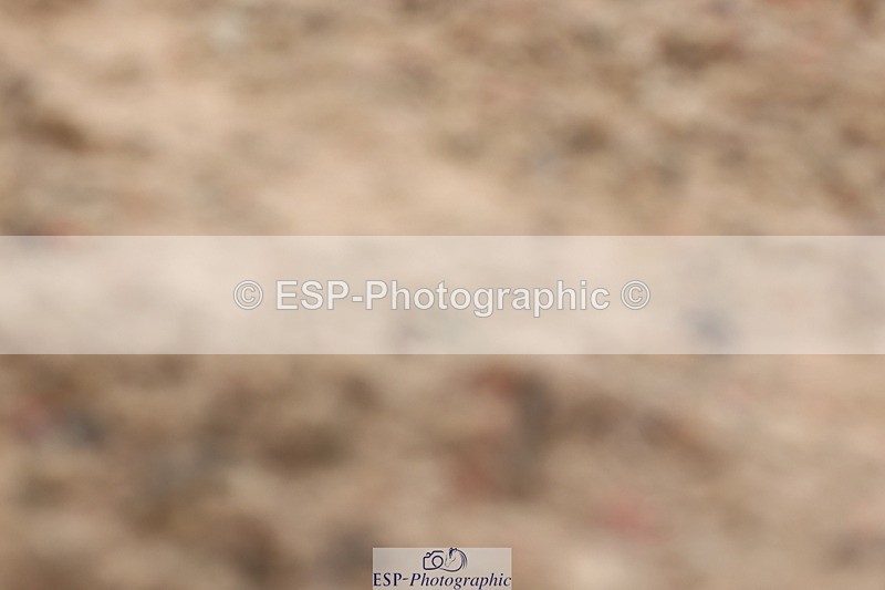 240622A-133627-11804 - Cls 29 BD Elementary 45