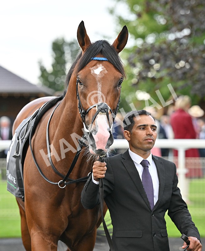 190826-178 Ombudsman - Race 4 15.35pm Juddmonte International Stakes