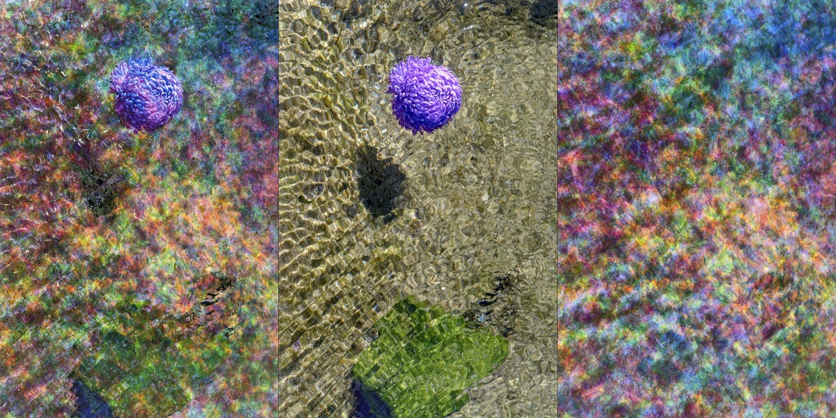 ENTROPY TRIPTYCH Vll-lX - ENTROPY 2023