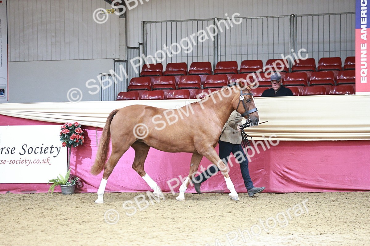 SBM_04677 - Class 7R - Regional IH Diamond