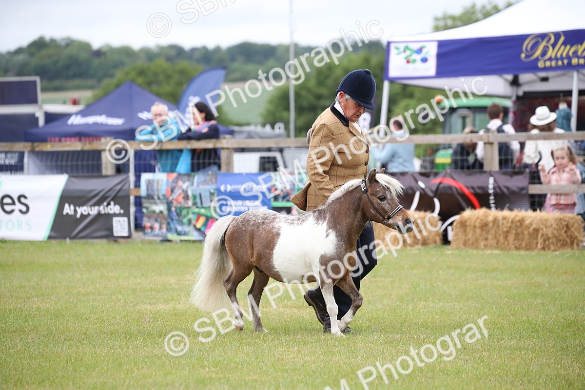 SBM_03737 - Class 23-25 - British Miniature Horse of the Year