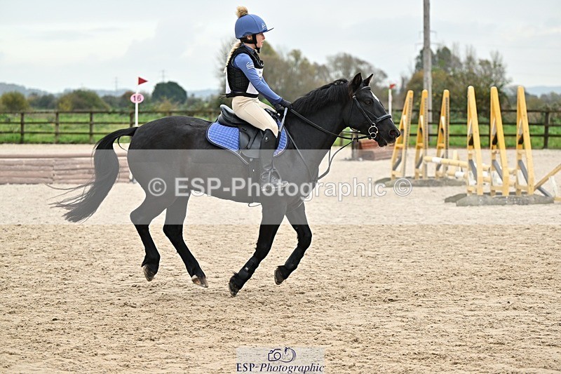 241110-142215-01103 - 60-65cm Arena Eventing