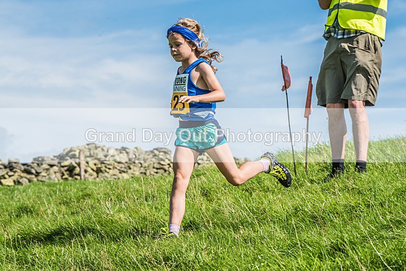 Loweswater Show-66 - Loweswater Show Junior & Senior Fell Races Sunday 3rd September 2023