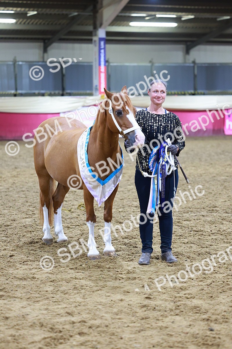 SBM_15286 - Class P - M&M Champ