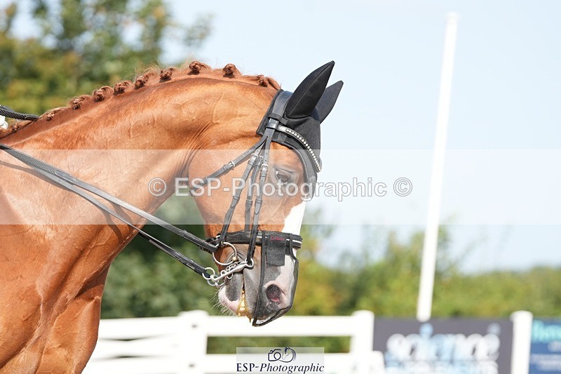 250817-103619-08101 - 150-Laima.DaviesRomero