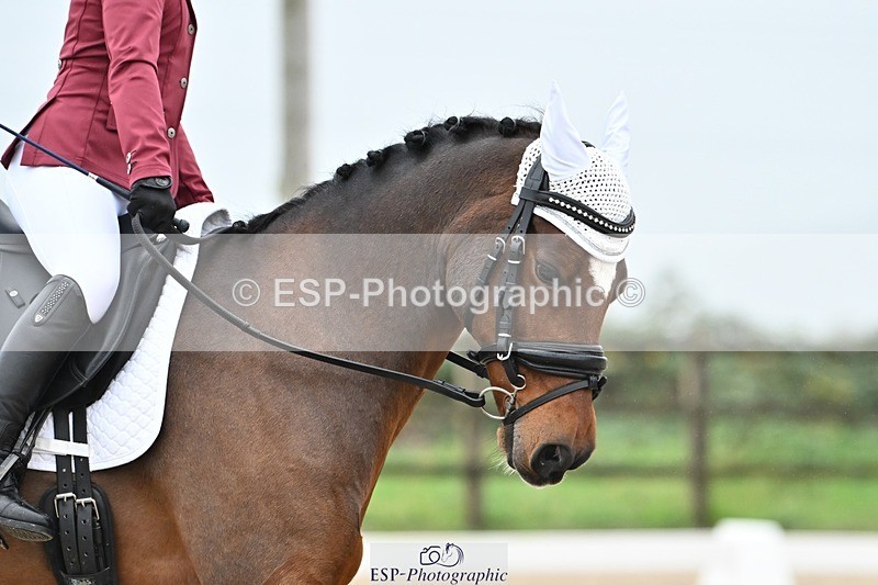 241103-123036-01554 - Prelim 1 - 11.31 to 12.55