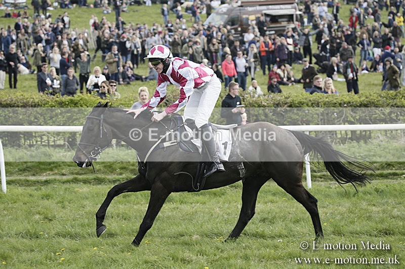 PtP 170417 369 - Old Berks Point-to-Point Lockinge 17/04/17