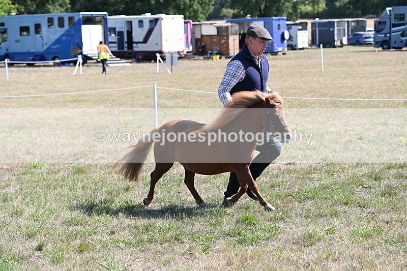 WJ6_4619 - Class 17 Mountain & Moorland
