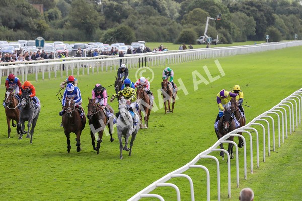 230824-Race 1-Shadow Dance-8293 - Race 1 1.50pm Sky Bet Handicap