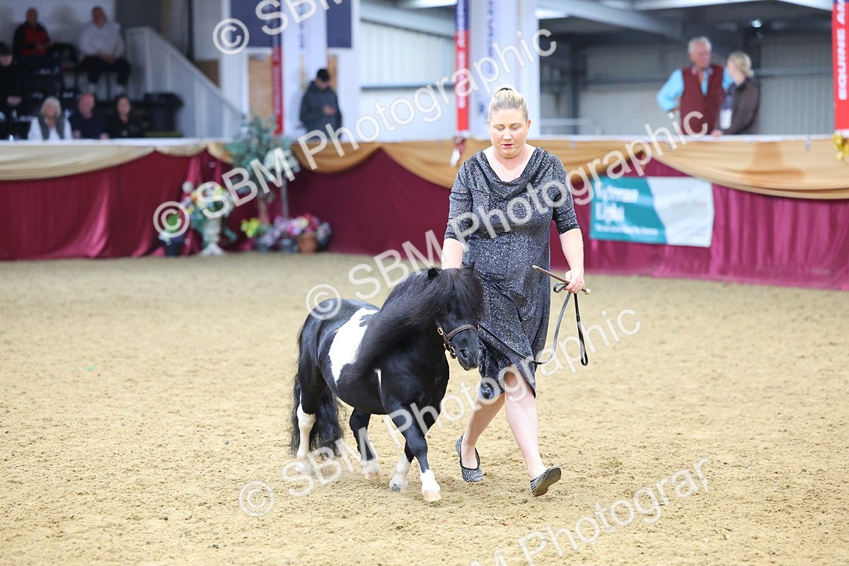 SBM_22840 - Class 903 - Supreme Final - IH Pre Vet