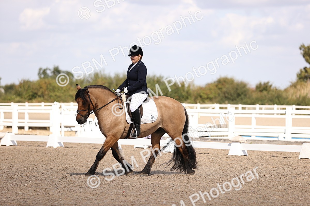 SBM_03598 - CLass 35 Intro 3