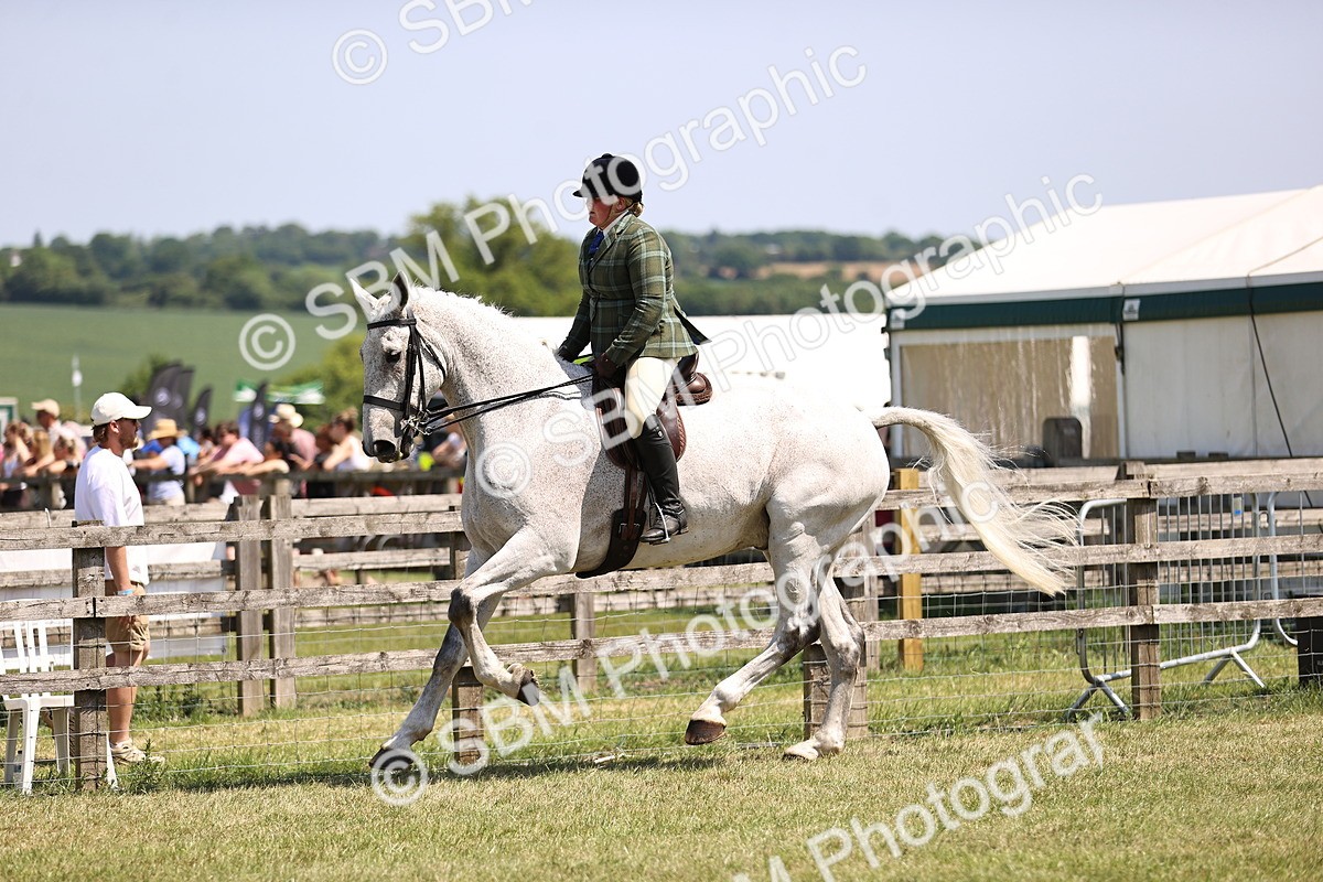 SBM_16113 - Class 79-80 - LIHS BSHA Rising Star Ridden Hunter