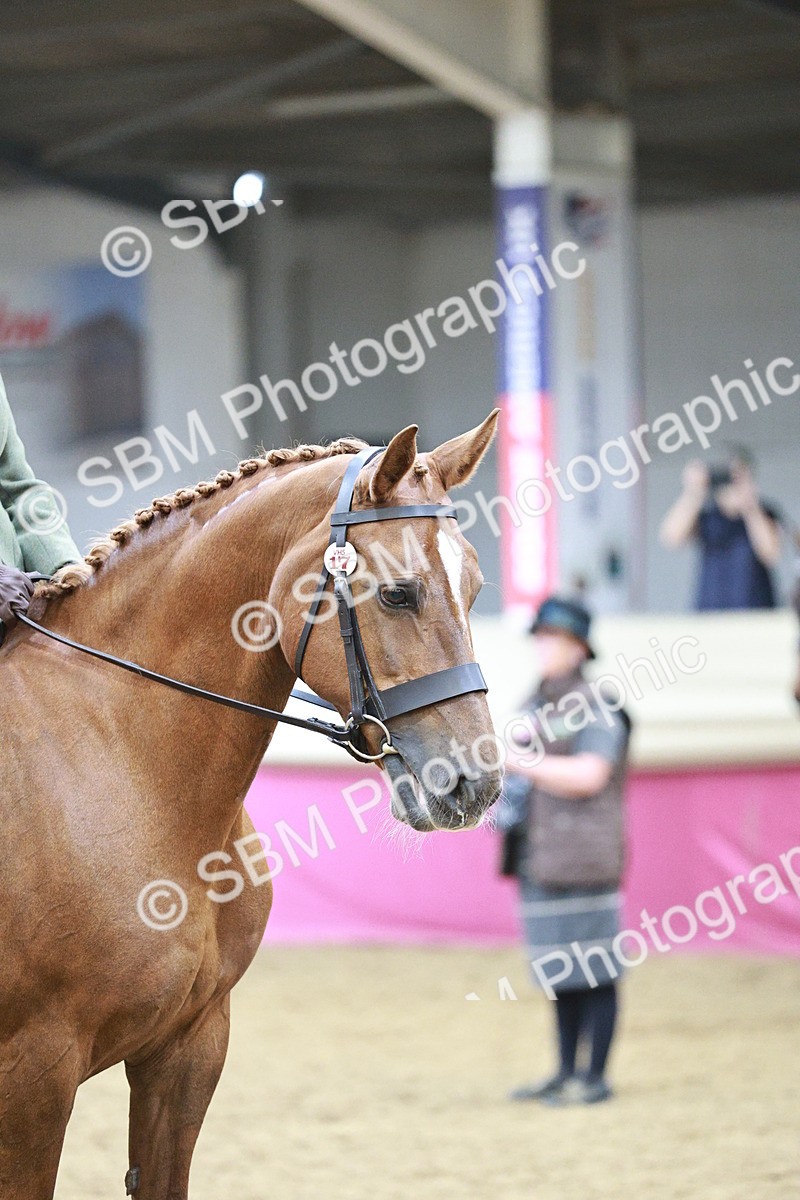 SBM_03383 - Class 6A Area Ridden Pre-Vet
