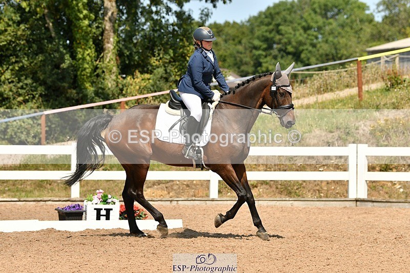 250817-133920-10018 - 033-Frankie.TorodeFirst.Impression.VI