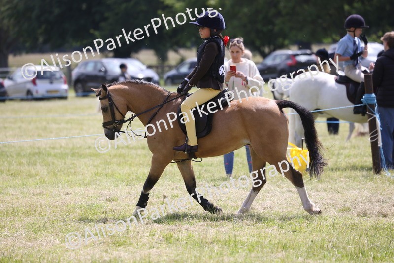 20260614-1902 - Class 21 - Novice Working Hunter Pony