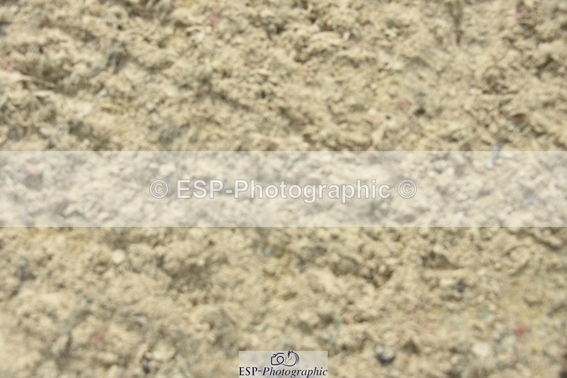 230812-161036-05461 - FEI PSG Bronze Presentations