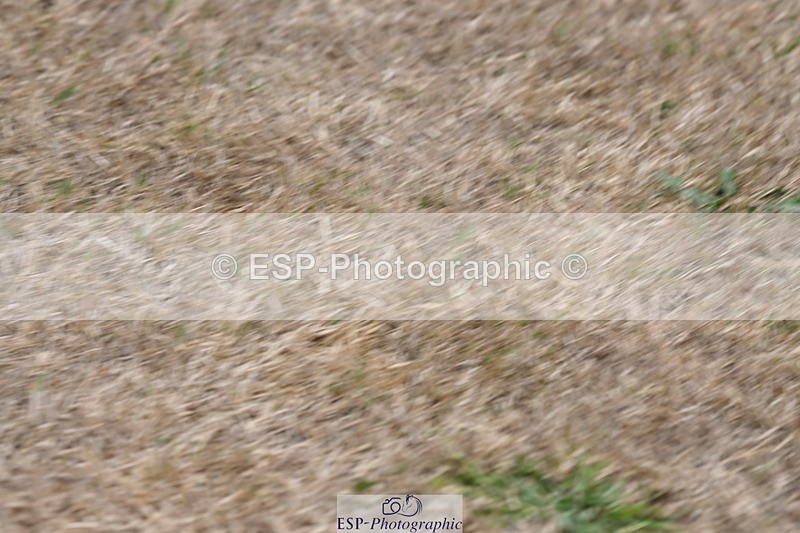 250820A-174155-12193 - Wednesday Presentations