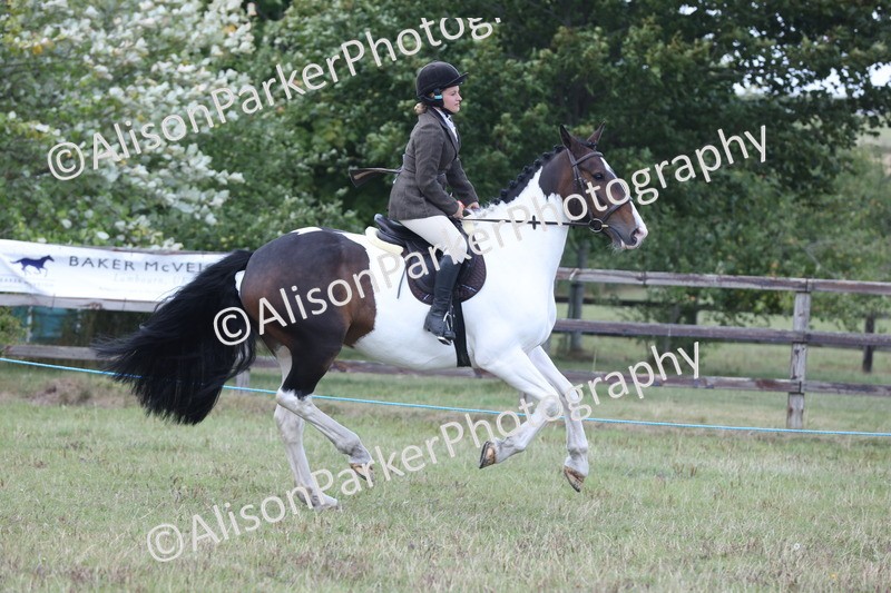 20250831-4379 - Class 20 - Ridden Coloured