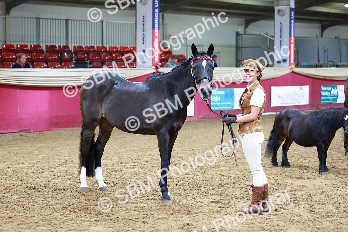 SBM_16229 - Class 901 - Sup Final - IH Diamond