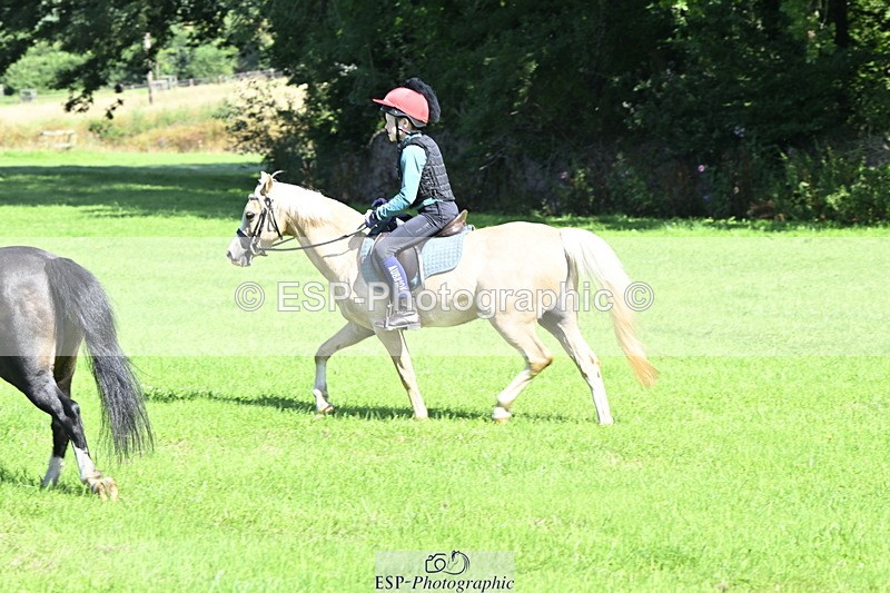 240728B-102338-00661 - Theo's Group XC