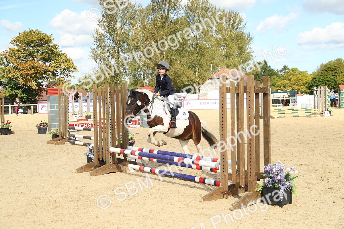 SBM_39494 - J6 - Junior Pony 55cm Championships