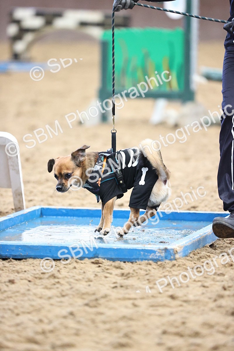 SBM_001591 - Class 3 - Horse & Hound 60cm