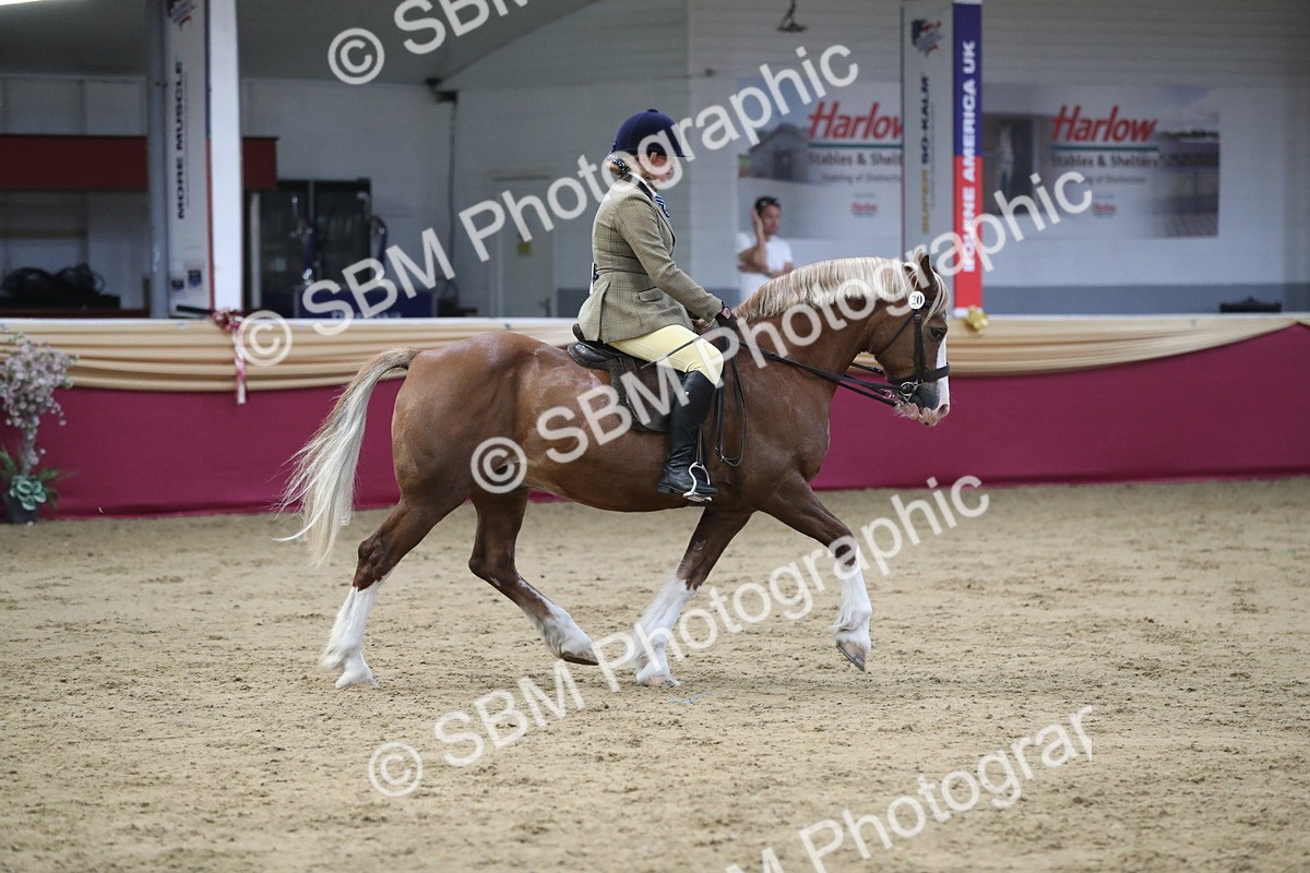 SBM_08413 - Class 11R Regional Ridden Veteran