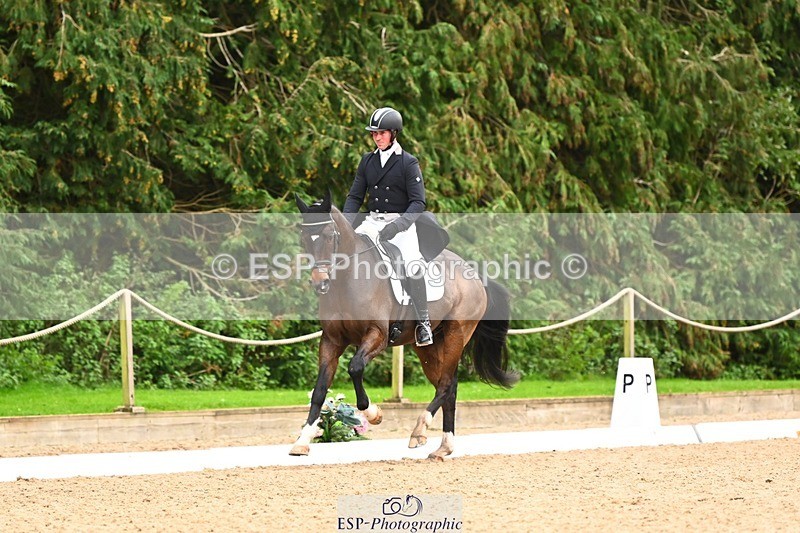 231020-154420-11932 - 215-ROYAL.CRUSADE-David.Doel-DR