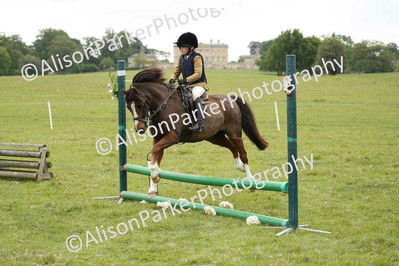 20250517-1146 - Class 21 - Novice Working Hunter