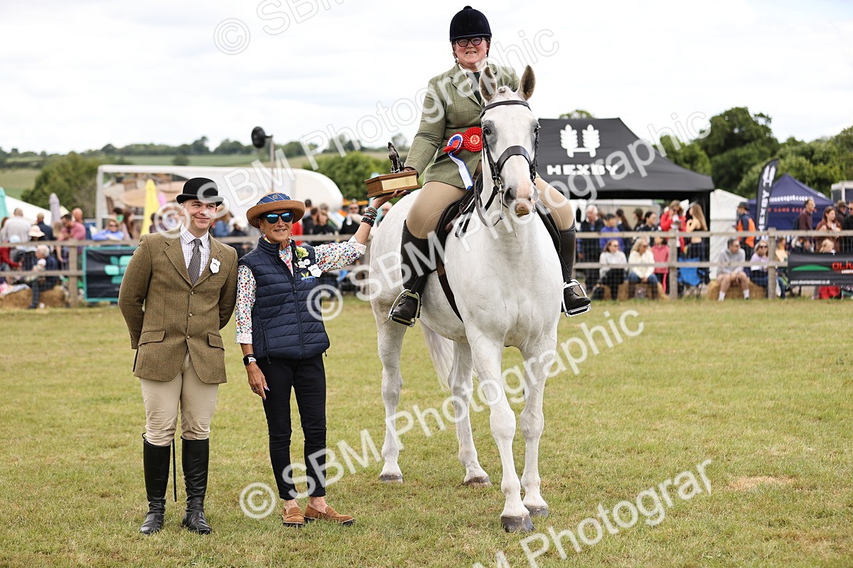 SBM_14825 - Class 88-89 - LIHS BSHA Rising Star of Ridden Hunter Type