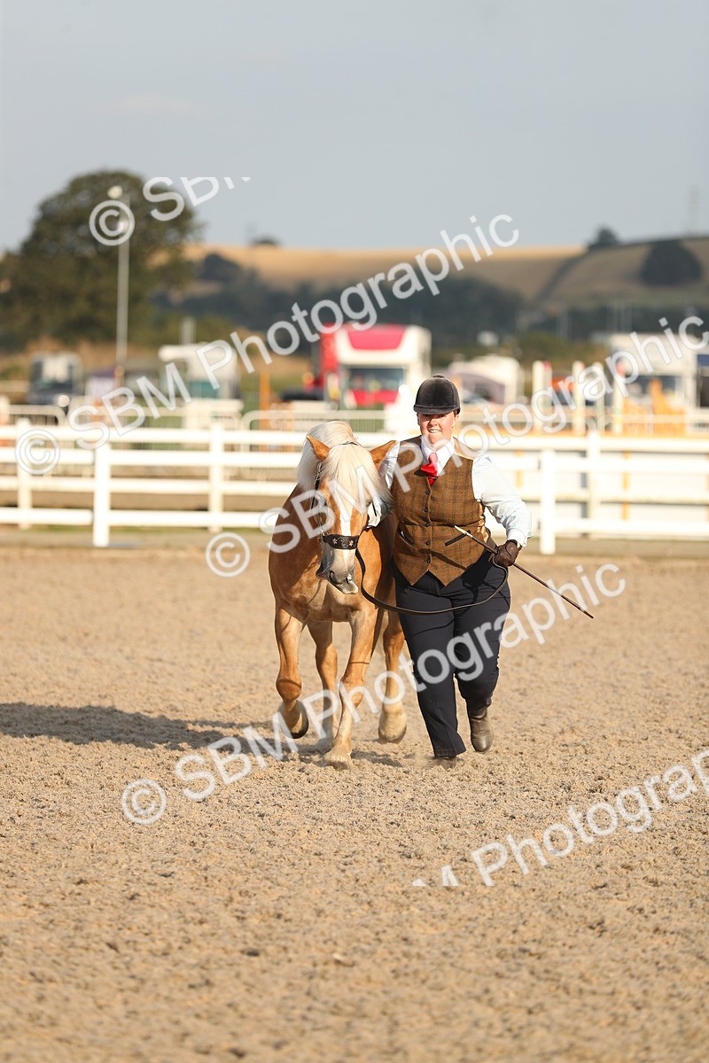 SBM_09045 - Class 29 IH Veteran Pony