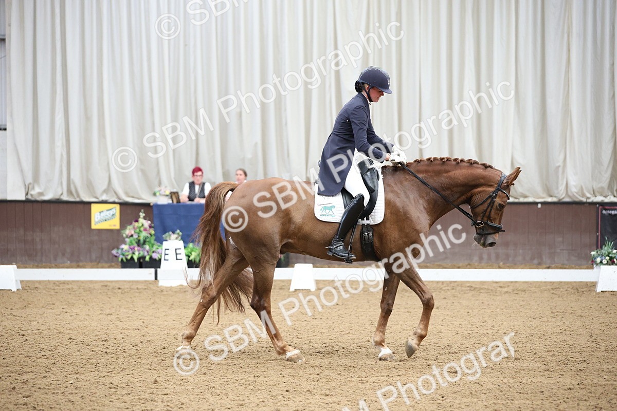 SBM_004381 - Class 9 - FEI Inter 1 Gold - 15.55-16.43
