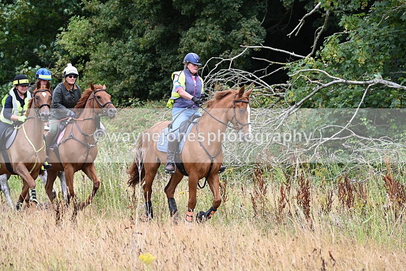 WJ6_2342 - Group 7