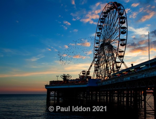 Wheel on the Pier - Landscapes