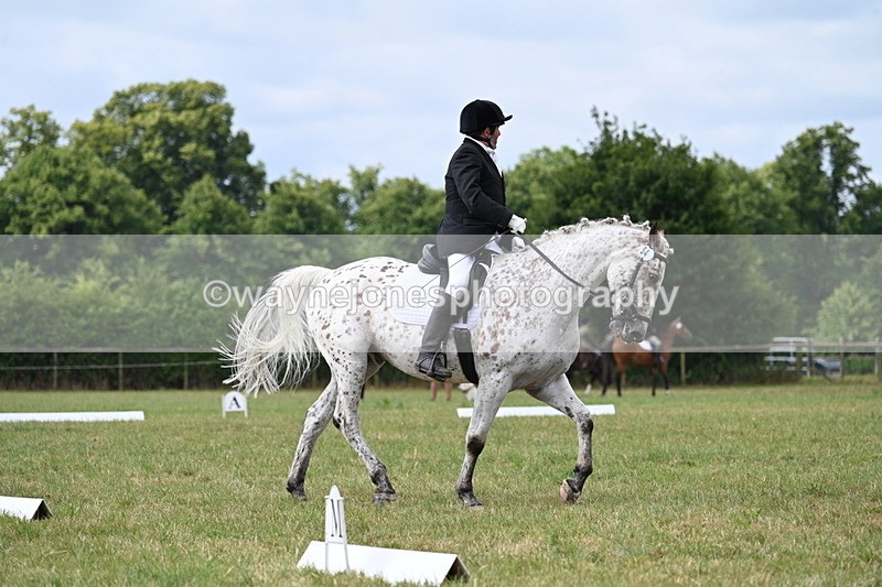 WJ7_2348 - Time 09:24 to 09:49