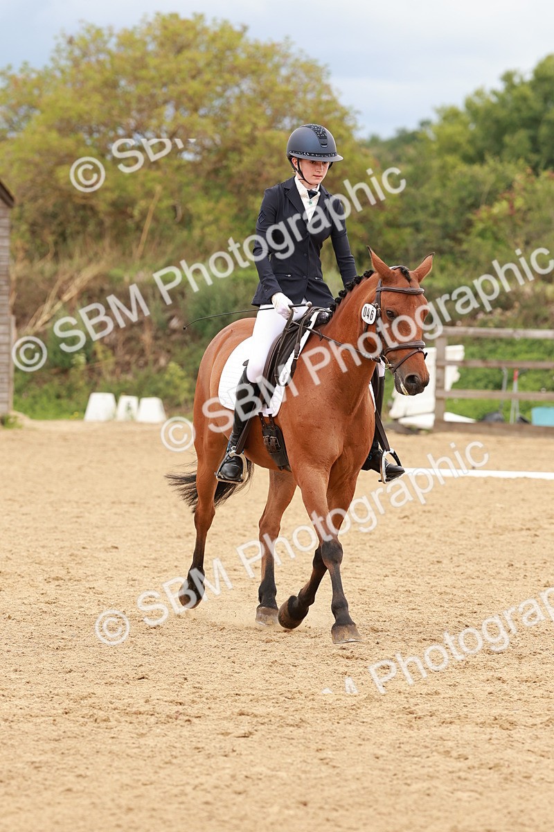 SBM_002664 - Novice 2