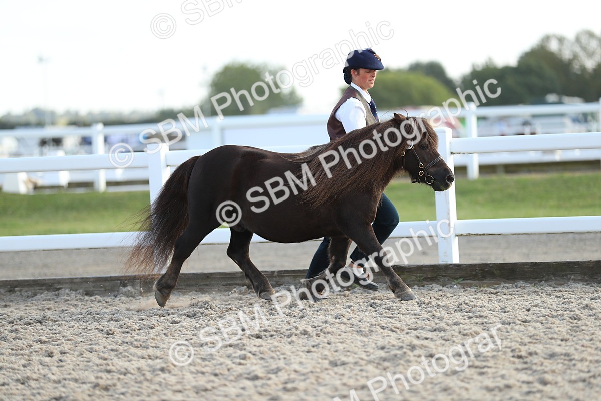 SBM_08908 - Class 29 IH Veteran Pony